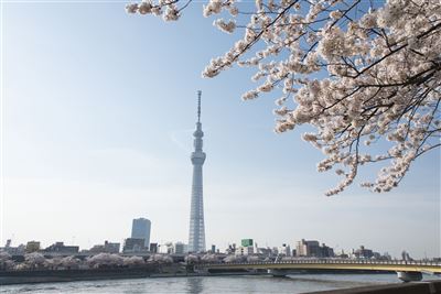 Sky Tree Tower